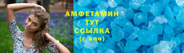 мдпв Пестово